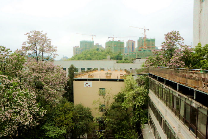 20210415124535987.jpg 5为学员打造的空中长廊.JPG