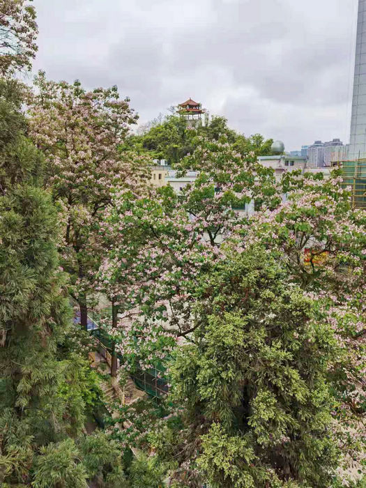 20210415124602213.jpg 8远眺马鞍山.jpg