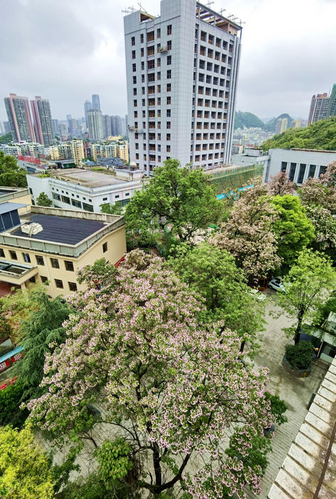 20210415124608612.jpg 9满园春色关不住.jpg