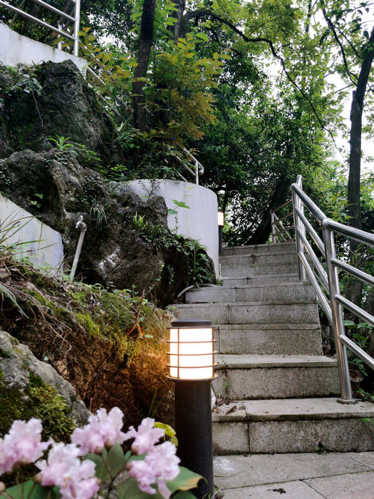 20210415124622352.jpg 11我校为学员精心打造的马鞍山健康步道(春景).jpg