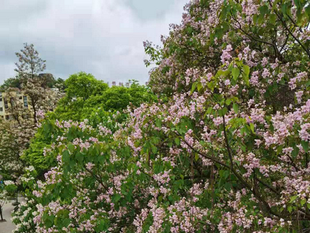 20210422163456743.jpg 1.4.jpg