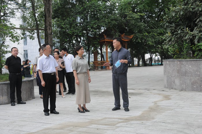 20210819234627492.jpg DSC_1674.JPG