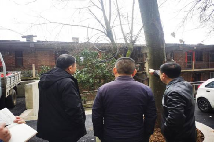 20220123212538741.jpg 6.jpg