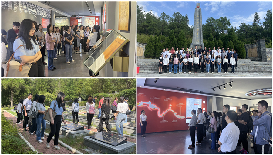 组合3.jpg 组合3.jpg