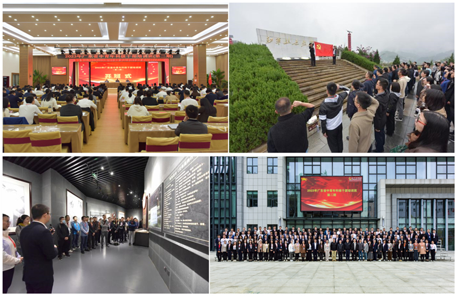 组合2.jpg 组合2.jpg